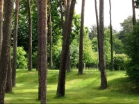 ApartHotel Viktorija 91