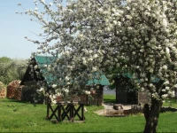 Viesu mВ­ДЃja ArkДЃdija