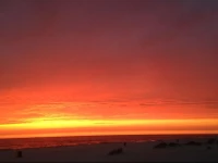 Promenade Central Apartment