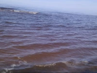 Cottage by the Sea in the National Seaside Park