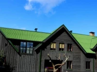 Viesu mДЃja Zvilnis