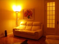 Cozy Design Apartment