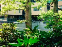 Saules Club Apart Hotel