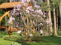 Apartamentai Е ilas