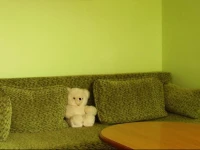 Studio Apartment - Ateities Street