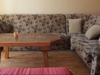 LivingPalanga - ЕЅvejЕі