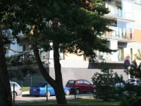 Palangos apartamentai