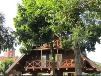 Red Tower Apartments