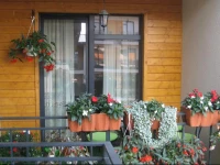 Tatjanos apartamentai