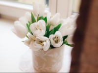 Domus 247 AuЕЎros VartЕі 2 bedroom apartment