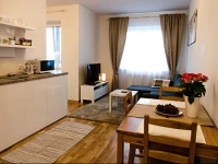 Lovely Dream Apartment