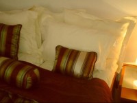 Old Town Literatu avenue