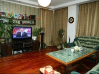 Perkunkiemio apartment