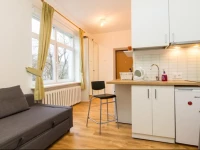 Vilnius center apartment