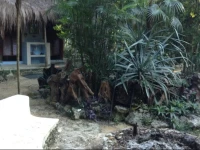 Cavelands in the Jungle