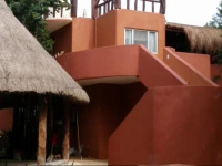 Jungle Secrets Riviera Maya