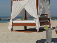 Privilege Aluxes - Adults Oriented