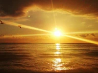 Bed & Beach & Fun Cancun Hotel Zone