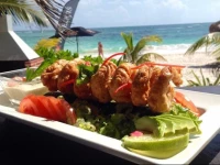 El Secreto Xpuha Ocean View Downstairs