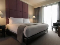 Hippodrome Hotel Condesa