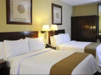 Holiday Inn Hotel & Suites Mexico Zona Rosa