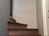 Guest Room Parques Polanco