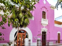 Rosas & Xocolate Boutique Hotel+Spa