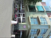 Mimosa Tree Residence