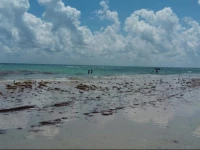 Apartment 5th Ave Playa Del Carmen