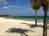 Blue Coral Apartments