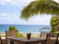 Apartment Homing Bird