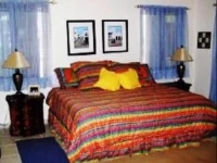 Condo Geckoman at Las Iguanas