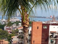 Pent House Puerto Vallarta