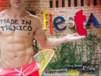 PiГ±ata PV Gay Hotel