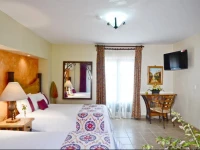 Mision San Miguel de Allende