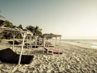 Papaya Playa Project