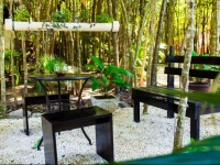 Condo Hotel El Vivero Tulum