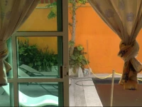 Weary Traveler Hostel