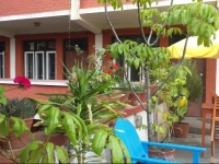 Langsisha Guest House