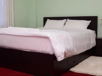 Papaya Hotel Apartment-Bhaisepati