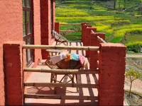 The Little House in the Rice Fields
