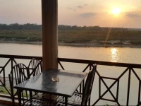 Jungle Wildlife Camp