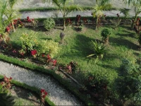 Hotel Chitwan Park Cottage