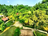 Jungle Adventure World Hotel