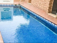 Luxurious Penthouse in VI