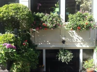 Amsterdam Bed and Breakfast Barangay