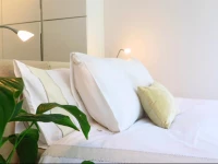 Apartment The little garden Jordaan