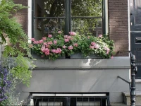 Schierstins Apartment