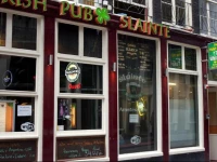 The White Tulip Hostel