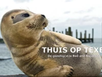 Thuis op Texel